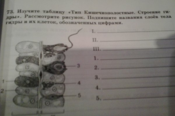 Вывести деньги с кракена