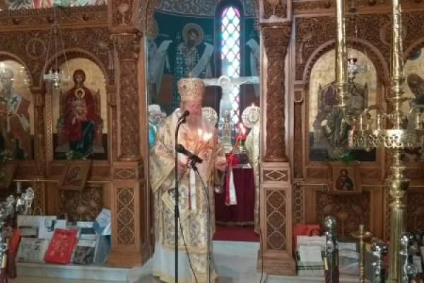 Замена гидры