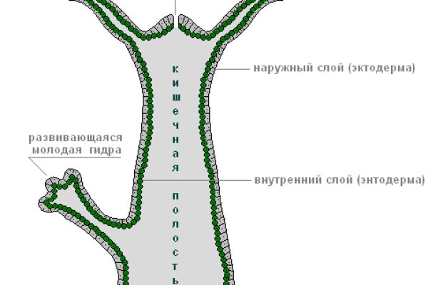 Найти ссылку кракен