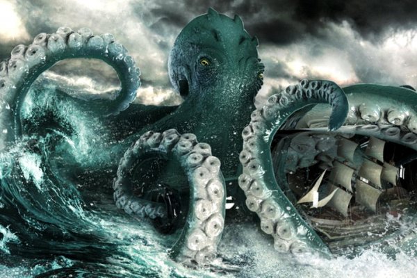 Kraken как найти ссылку