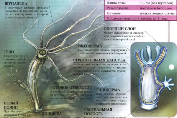 Tor kraken маркет