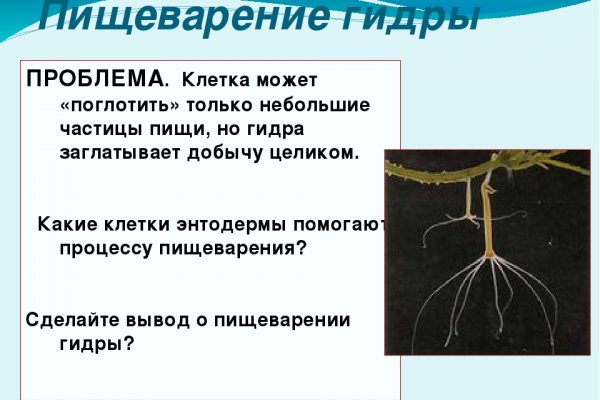 Кракен омг мега
