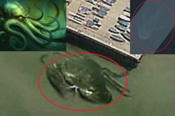 Kraken рабочее зеркало onion