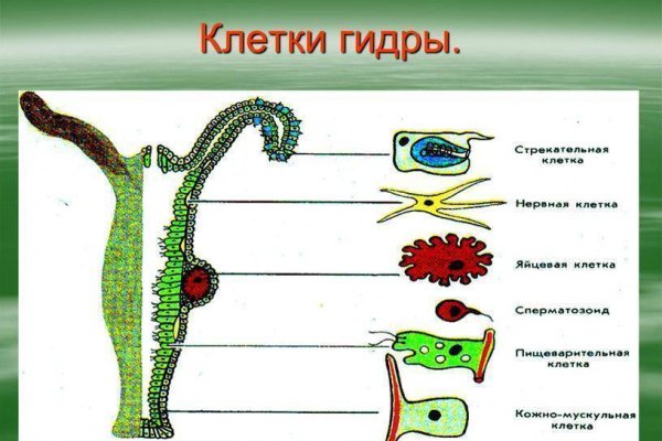 Kraken это современный маркетплейс